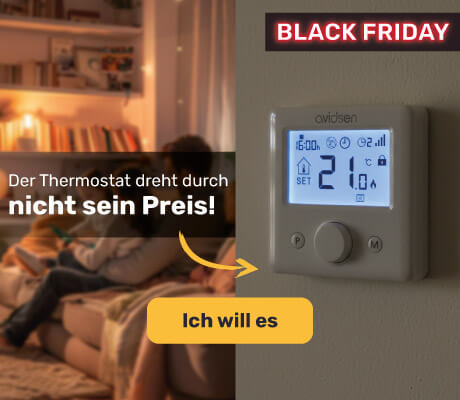 Funk-Thermostat HomeFlow WL für Heizkessel
