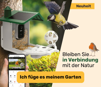 Die Kantine 2.0 fûr neugierige Vögel