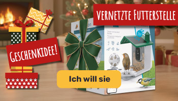 Geschenkidee: Intelligente Vogelfütterung