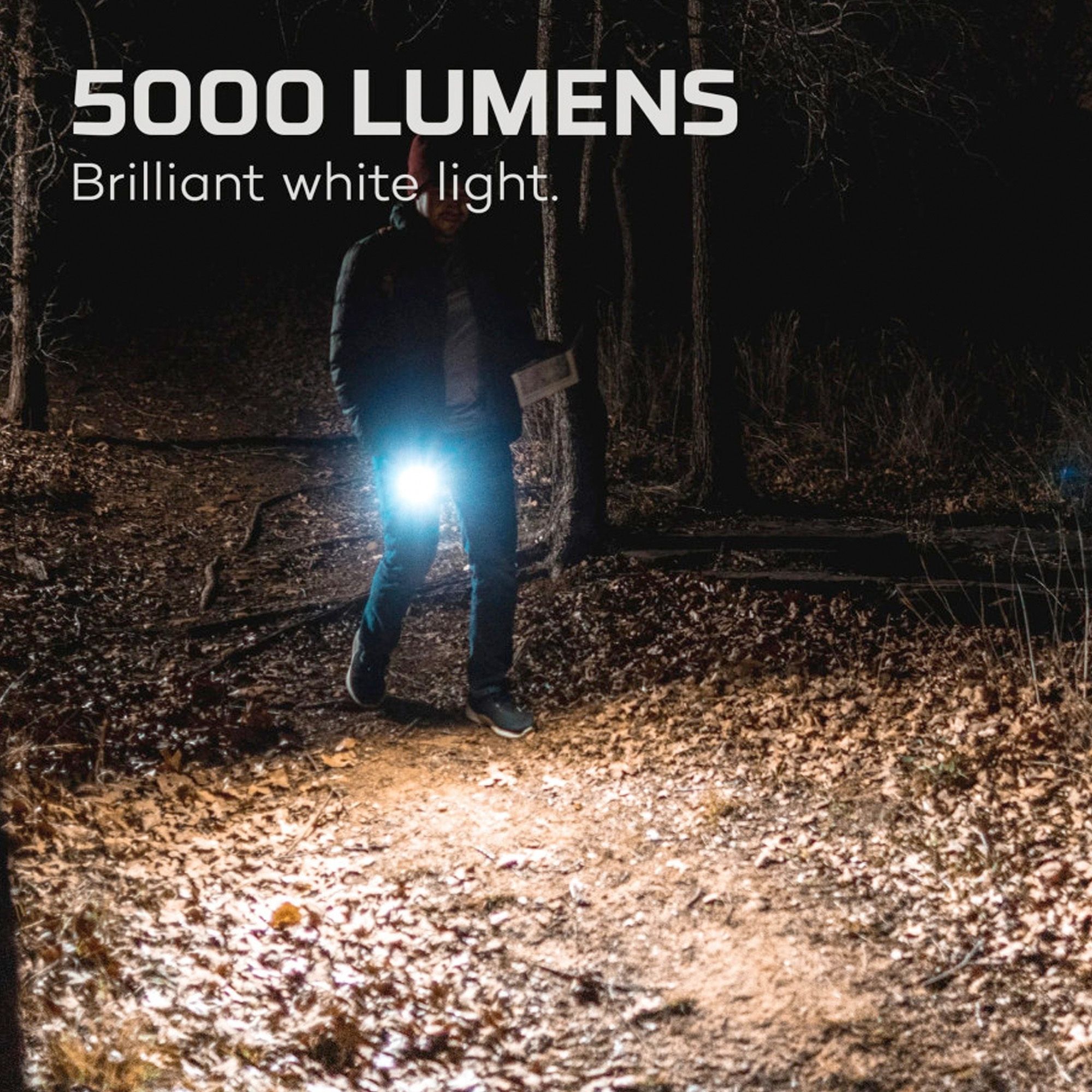 Hervorragende Lichtleistung
