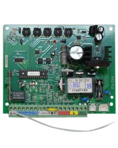 Elektronische Steuerkarte CARA