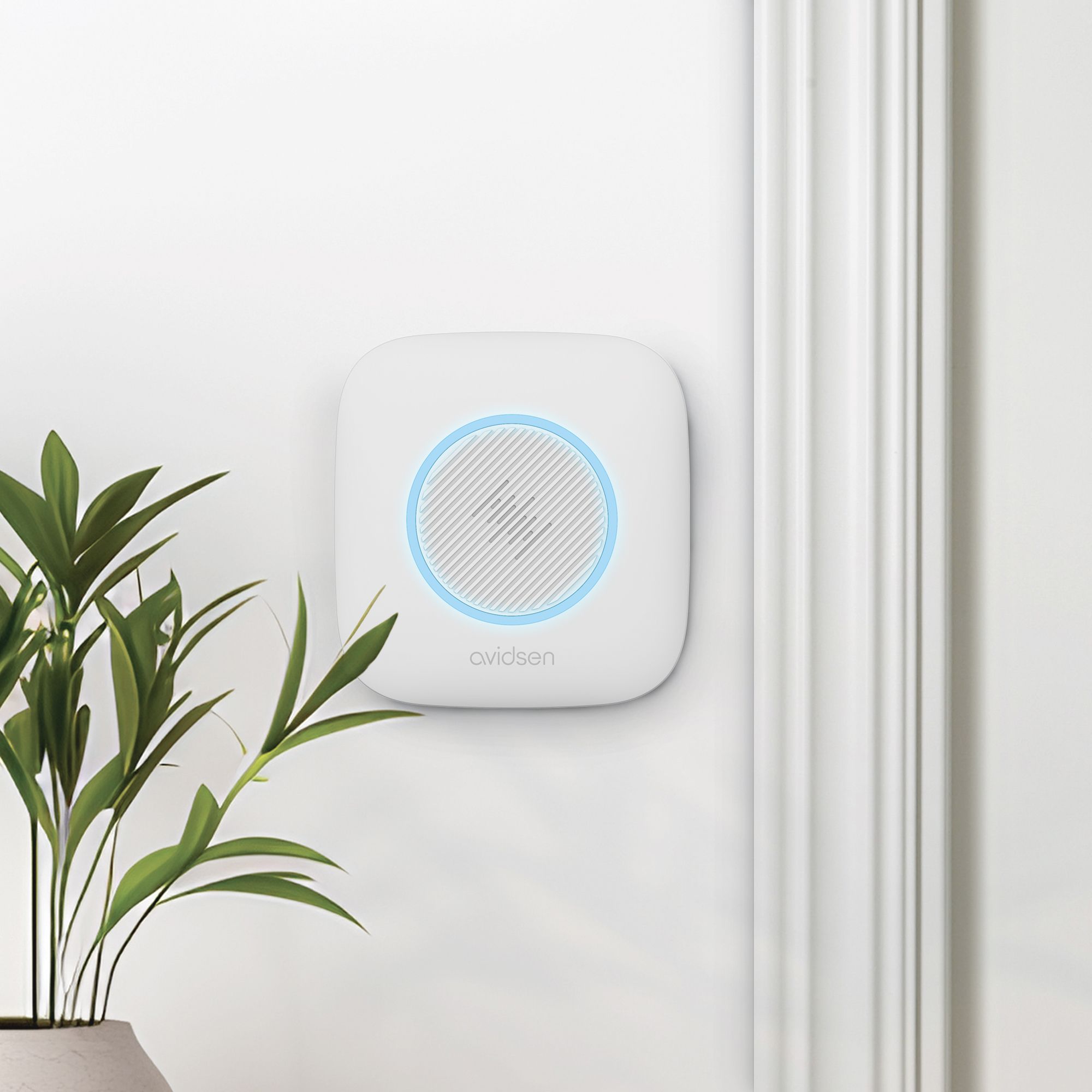 Die Vorteile eines Lichtblitzes